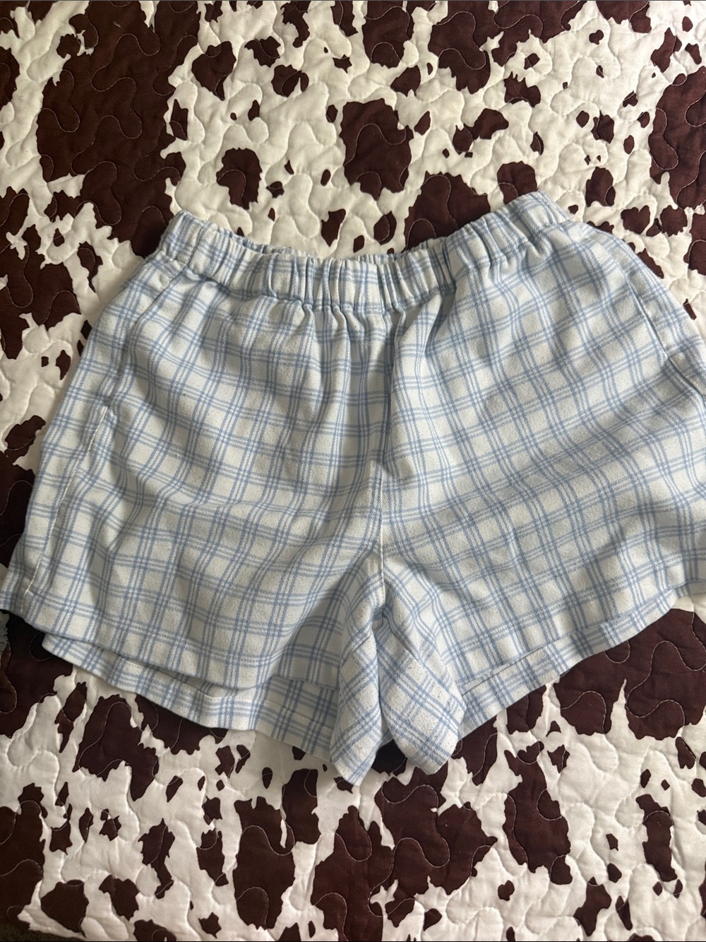 Brandy Melville blue plaid shorts